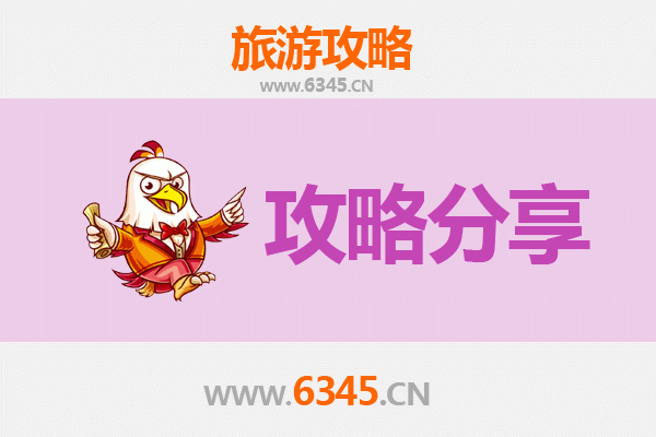 阿坝理县至湄洲岛旅游攻略：跟团还是自由行选择指南